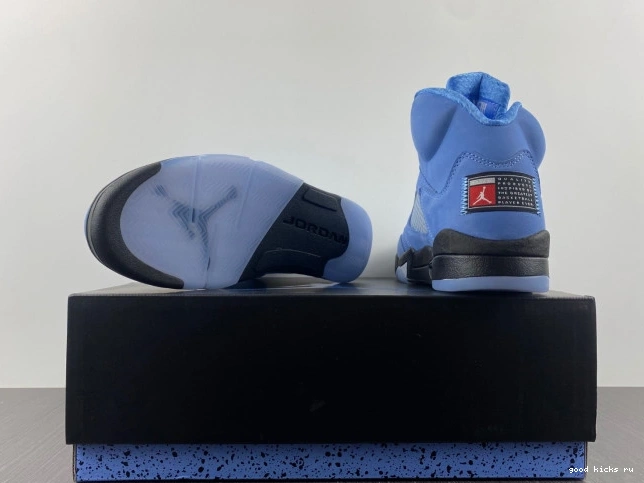 Jordan Air UNC 5 DV1310-401 0703